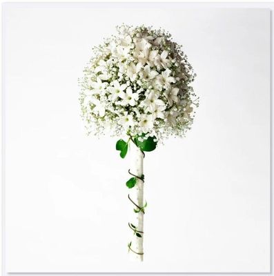 Greeting Card - Stephanotis and Gypsophila Bouquet