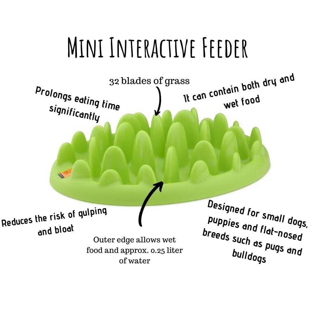 Mini Interactive Feeder