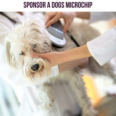 Sponsor a Dogs Microchip