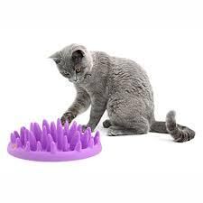 Mini Interactive Feeder - Purple