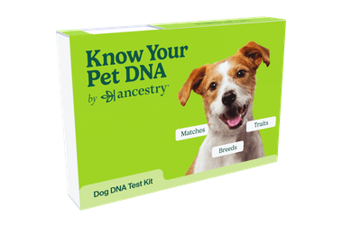 Ancestry Pet DNA Kit