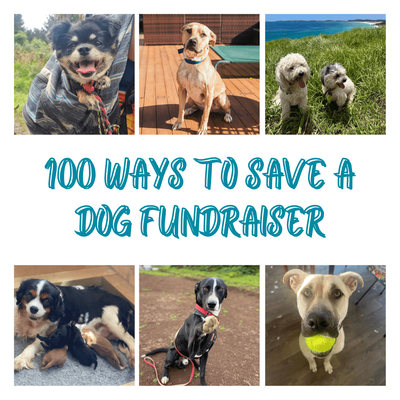 100 Ways to Save Fundraiser