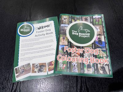 Kids Activity &amp; Colouring Books