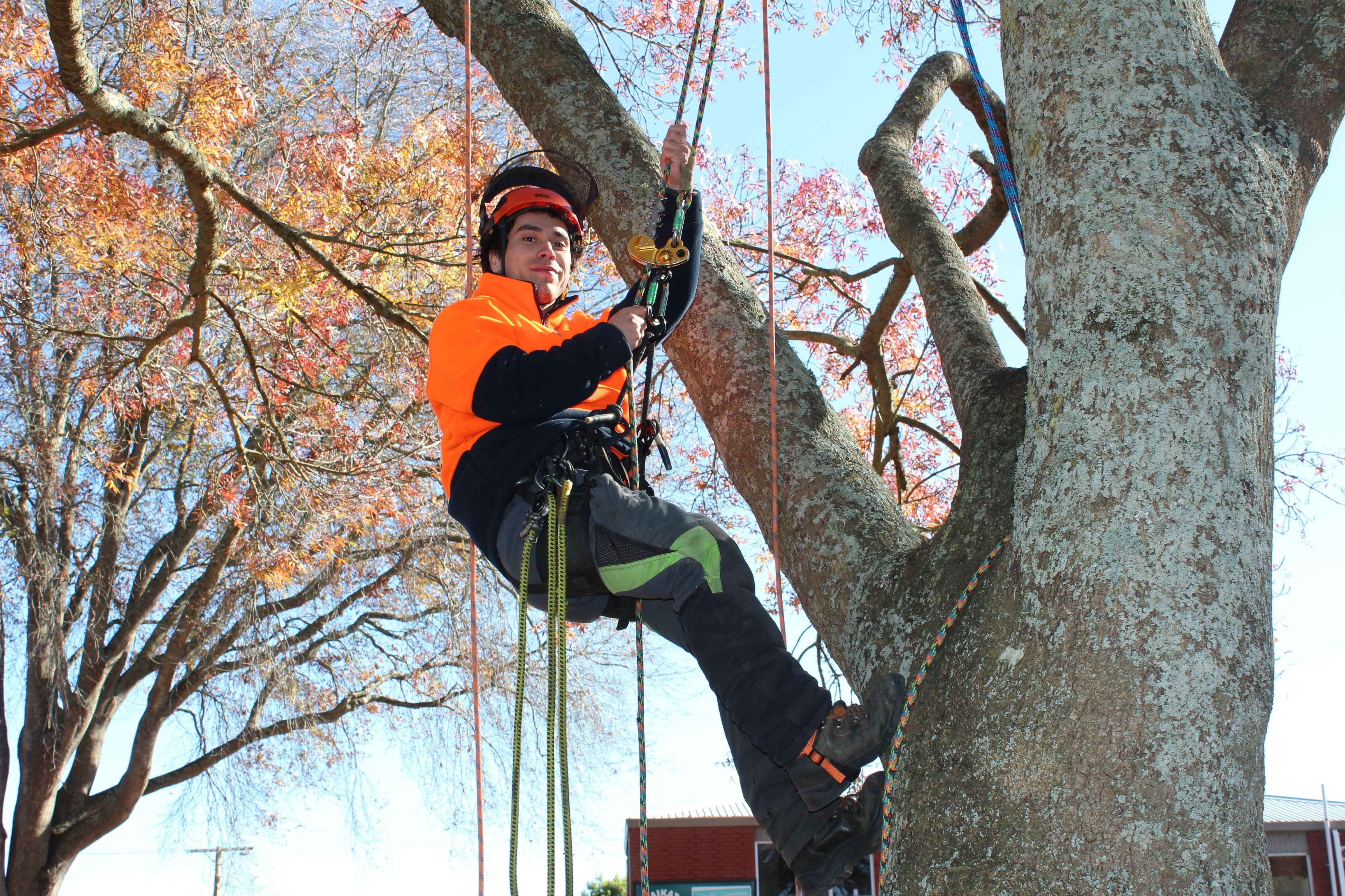 Photo of John Love hanging upside down from a tree