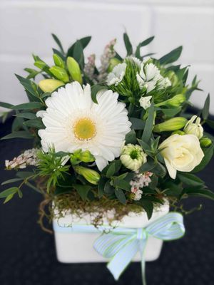 white Posy Pot
