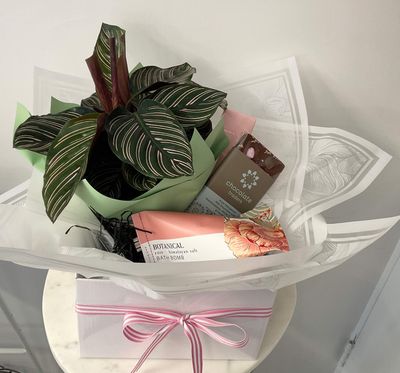 Gift Box (10)
