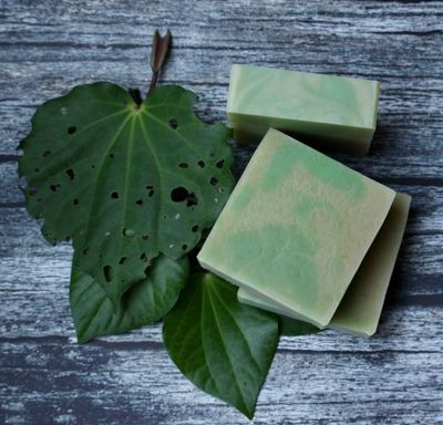 Kawakawa and Aloe Soap