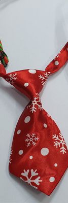 Christmas Neck Tie Snowflake