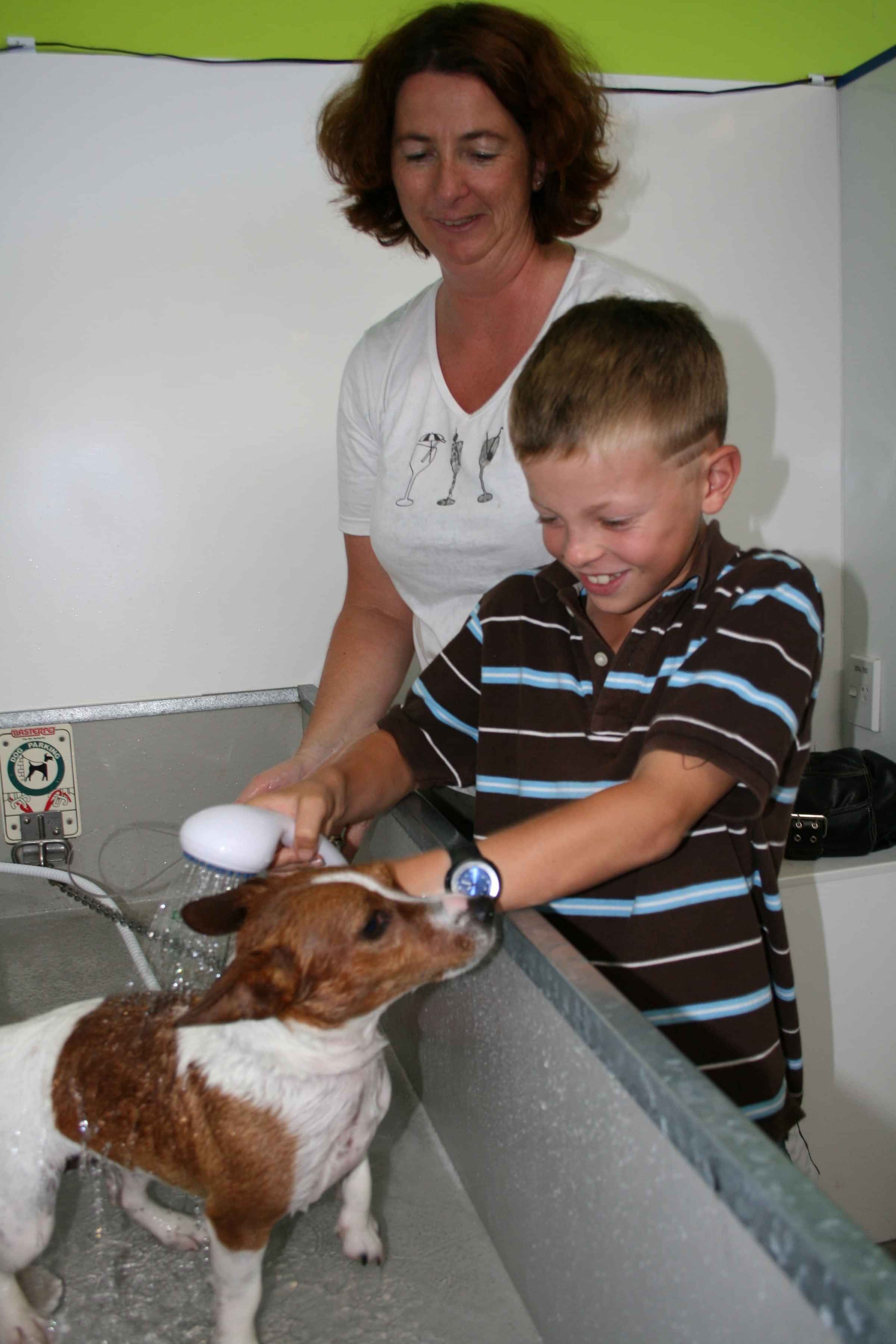 wash your own dog stations auckland