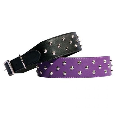 Pet One Purple Triple Studded Dog Collar