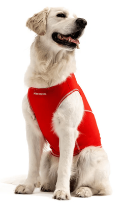 40% OFF! EzyDog Swimming Rash Shirt