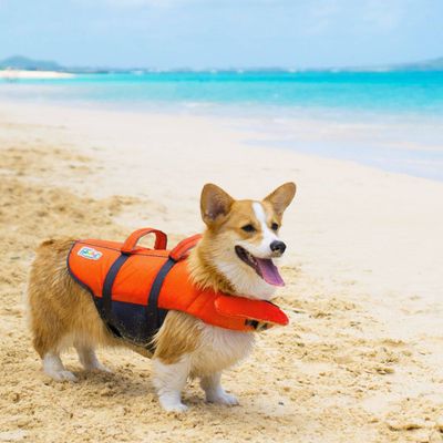 Outward Hound Granby Splash Dog Life Jacket - Large