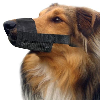 Pet One - Adjustable Dog Muzzle