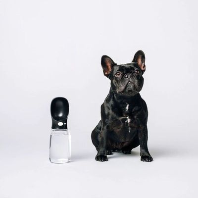 Thirsty Dog Drink Bottle - 550ml Black