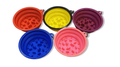 Collapsible Food and Water Bowl - Large