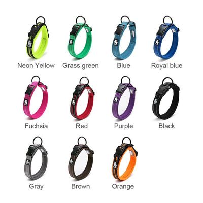 TrueLove Mesh Padded Collar