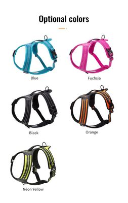 TrueLove No Pull Harness