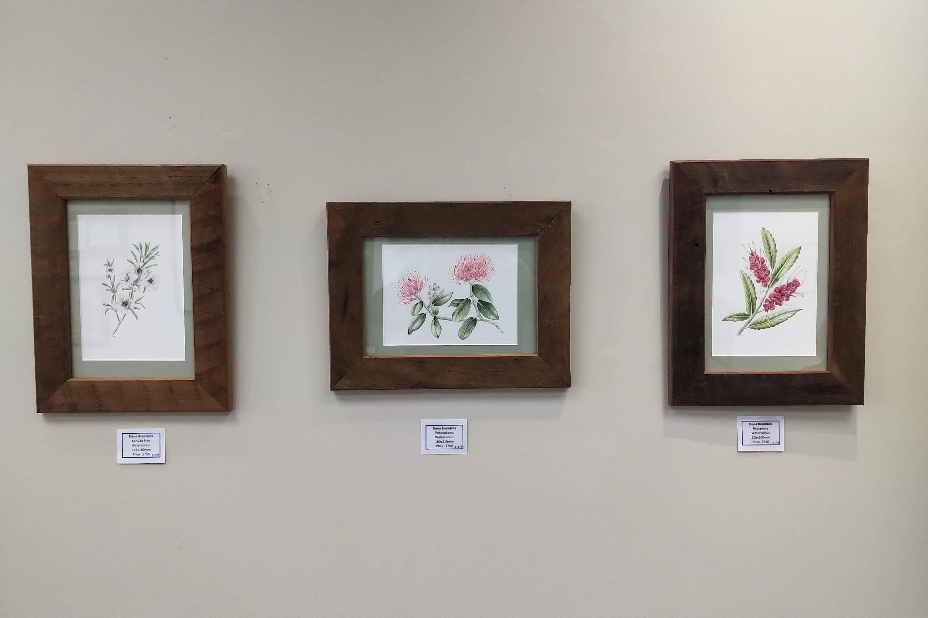 Rimu framed Botanical art from Elena Brambilla
