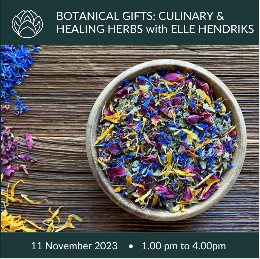 11 November 2023 | Botanical Gifts: Culinary &amp; Healing Herbs