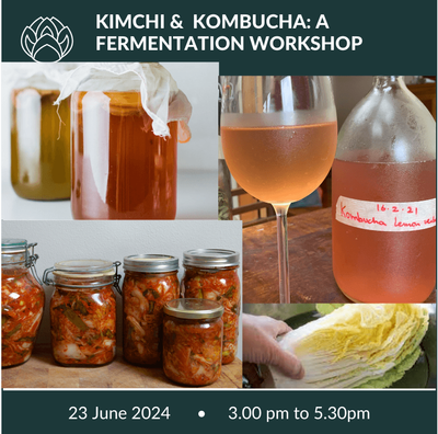 23 June 2024 | Kimchi &amp; Kombucha: A Fermentation Workshop