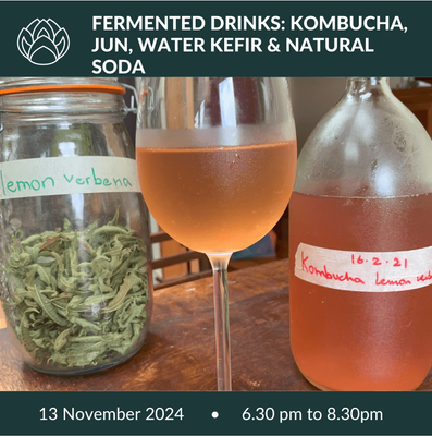 13 November 2024 | Fermented drinks: Kombucha, Jun, Natural sodas &amp; Water Kefir