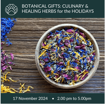 17 November 2024 | Botanical edible Gifts for the holidays