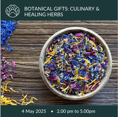 4 May 2025 | Botanical Gifts: Healing and Culinary Herbs