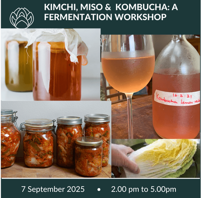 7 September 2025 | Miso, kimchi &amp; Kombucha: A Fermentation Workshop