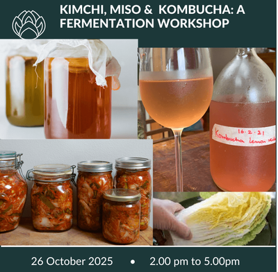 26 October 2025 | Miso, kimchi &amp; Kombucha: A Fermentation Workshop