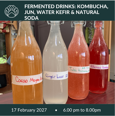 17 February 2027 | Fermented &amp; botanical drinks: Kombucha, Jun, Natural sodas