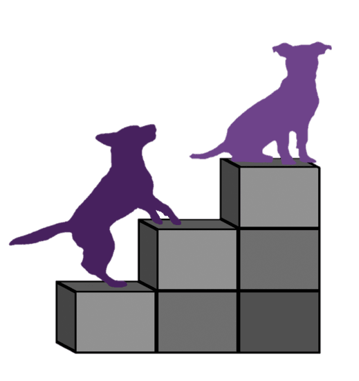 Constructive Canines Logo