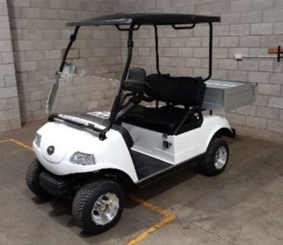Cargo 2 Electric Utility Cart with Lithium Battery
