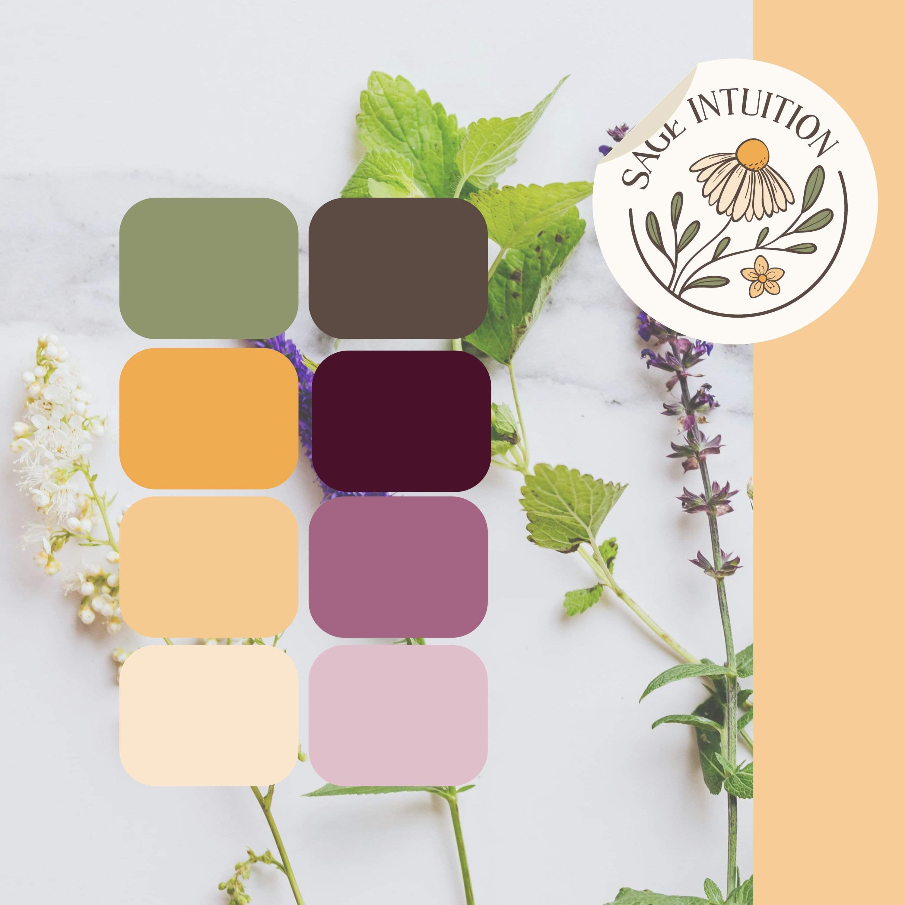  Image of Sage Intuition's logo. Designed by Creative Box. Waikato, New Zealand. 