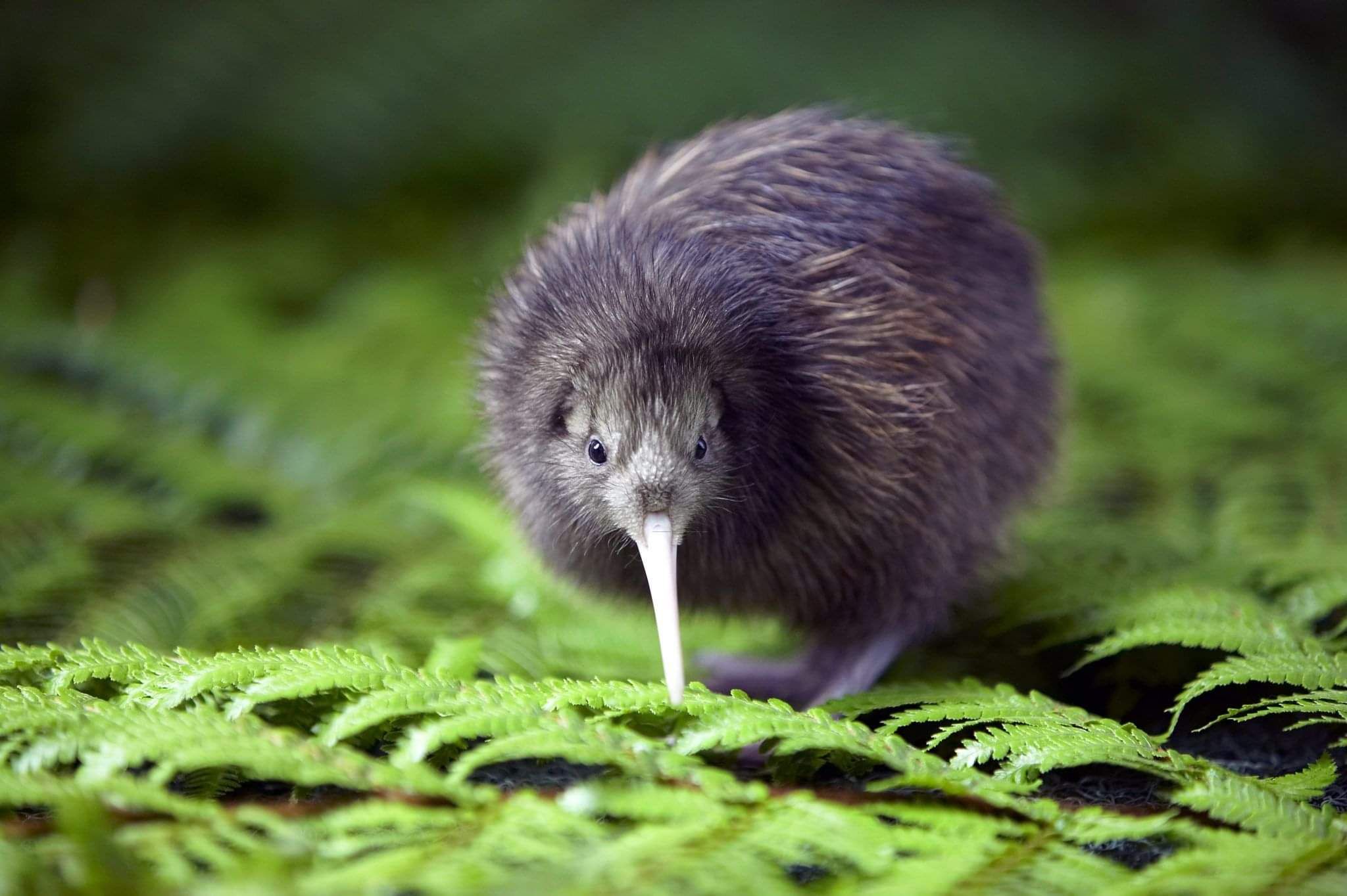 Cruise ship shore excursions private tours