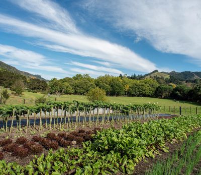 Home Gardening Workshop