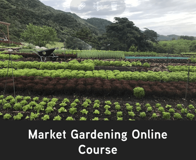 Market Gardening Online Course