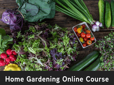 Home Gardening Online Course