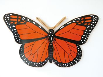 Butterfly  Magnetic