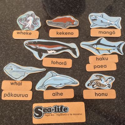 Sealife Maori Magnetics