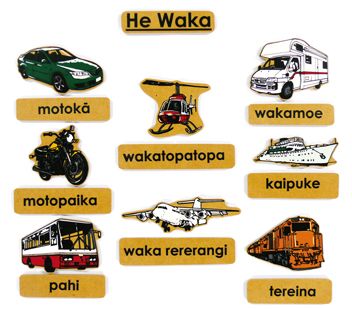 Transport Magnetics Maori