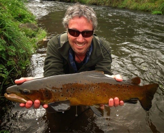 Waikato Fly Fishing brown trout stream catch