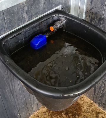 Automatic Waterer