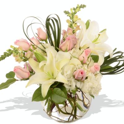 Fresh Flowers - Elegance With Ferns from IntheMix