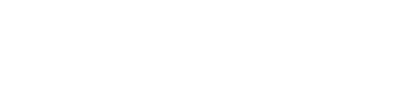 lightspeed-reach-logo