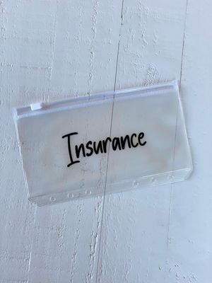 Insurance - Labeled Cash Envelopes