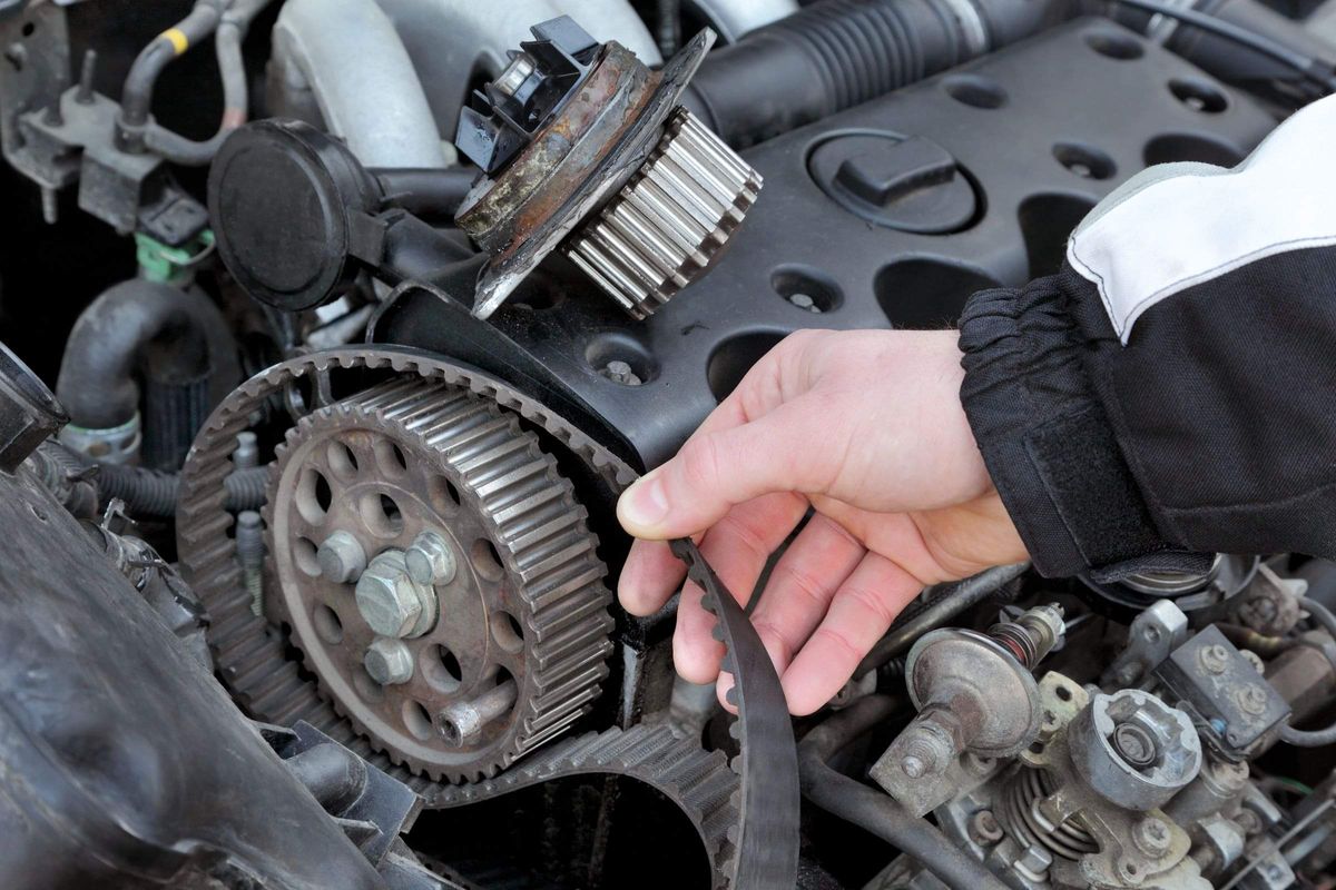 Cambelt and Timing Chains Your Neighbourhood Mechanic