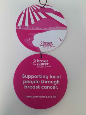 BCSSTT Car Air Freshener