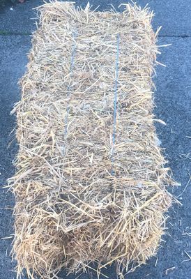 Barley Straw