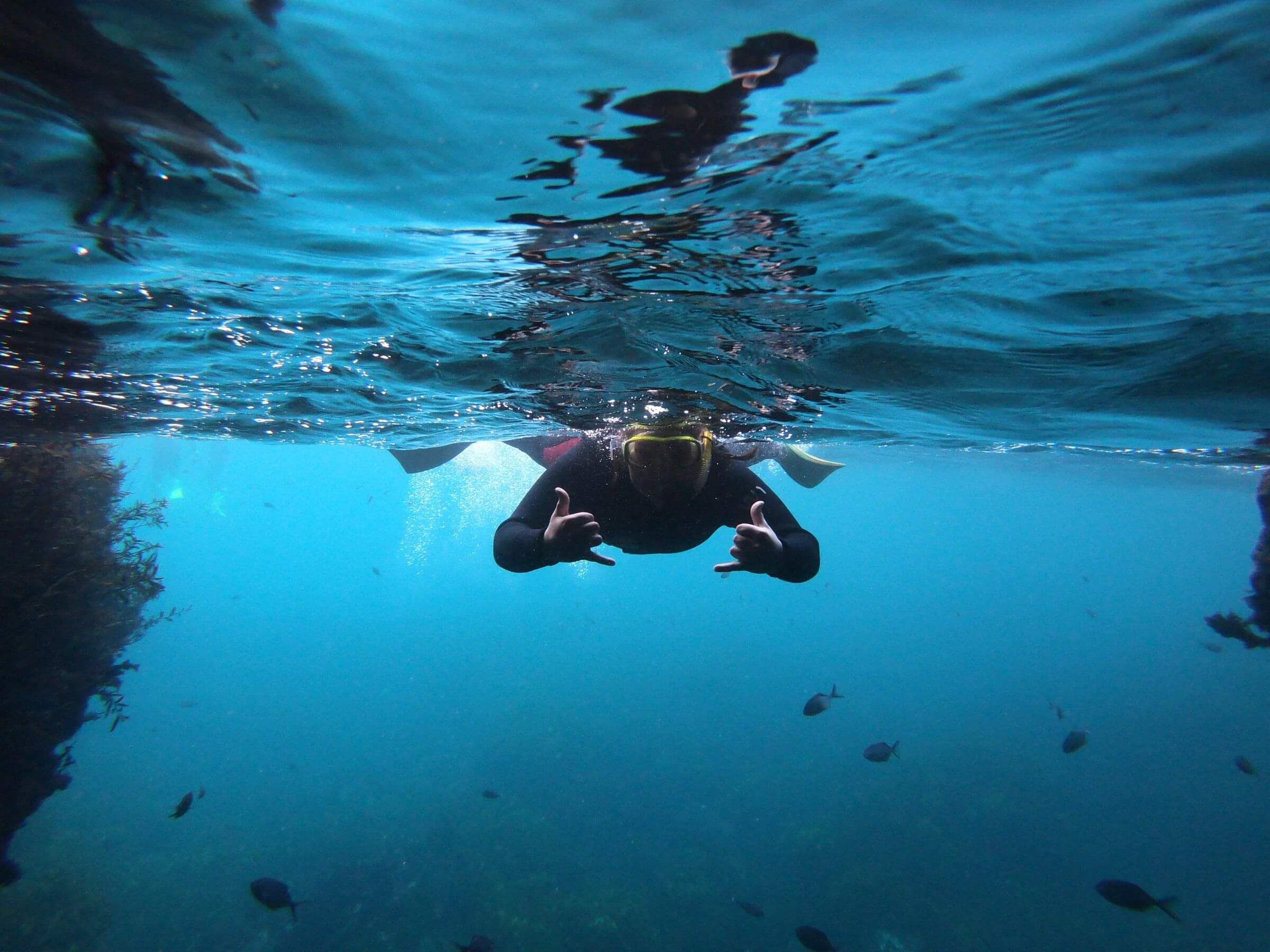 student snorkelling at the Poor Knights marine reserve