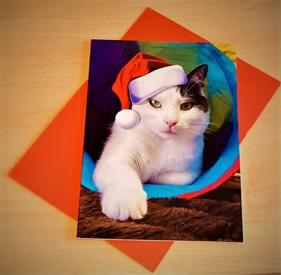 Christmas cards - Mobi